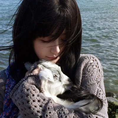 娜娜的玫瑰战争